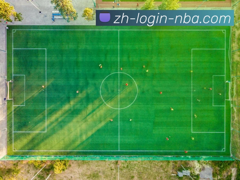 App Interface Preview