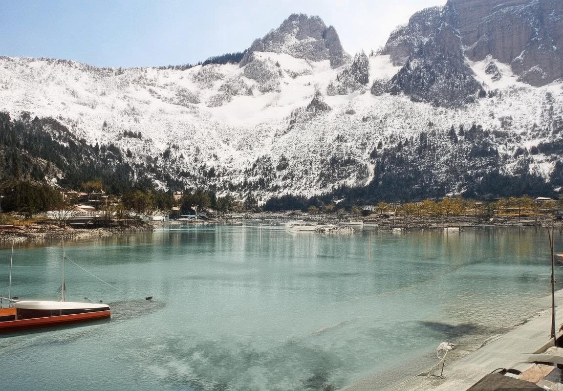 法甲焦点战：里尔vs洛里昂，智慧与勇气的对决